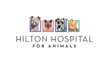 Hilton